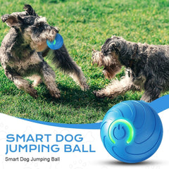 AMATFFUG 2-pack dog ball supports versatile bouncing for indoor and outdoor fun.
