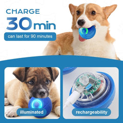 AMATFFUG high-strength TPR dog ball resists bites and wear.