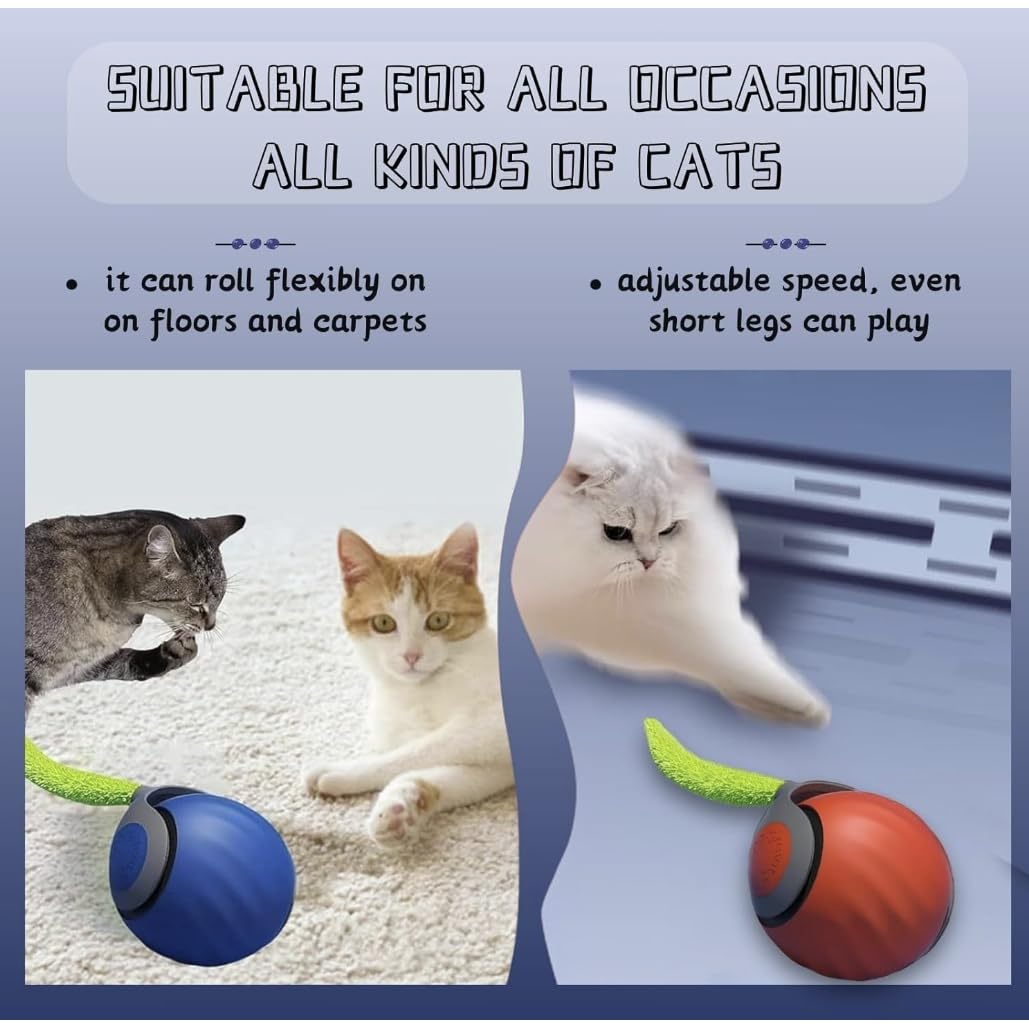 AMATFFUG Two-Pack Cat Toy Gift Set ideal for gifts and sharing.