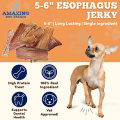 Amazing Dog Treats beef gullet single-ingredient chew for digestion-friendly snacking