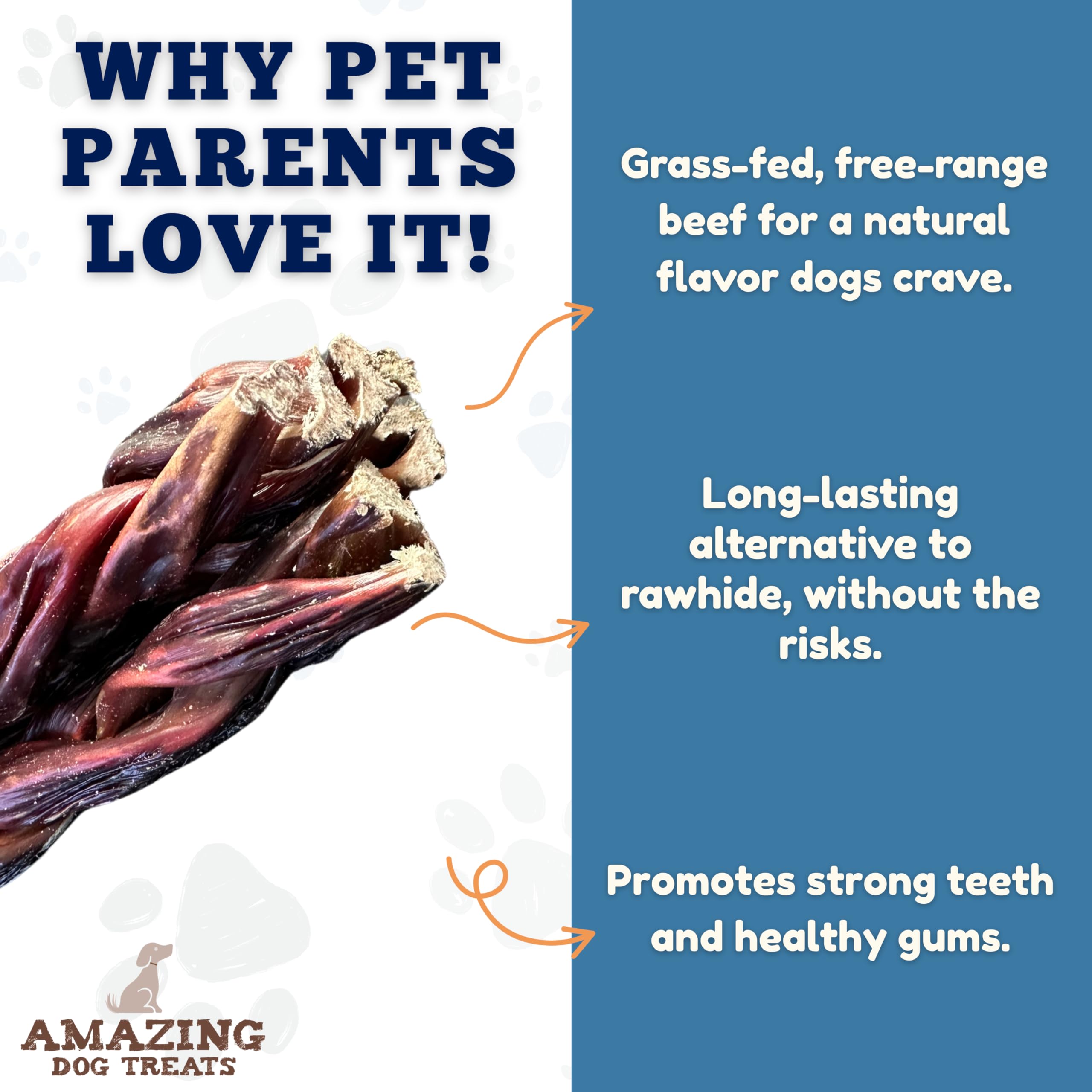 Dog chewing on Amazing Dog Treats beef gullet stick chew