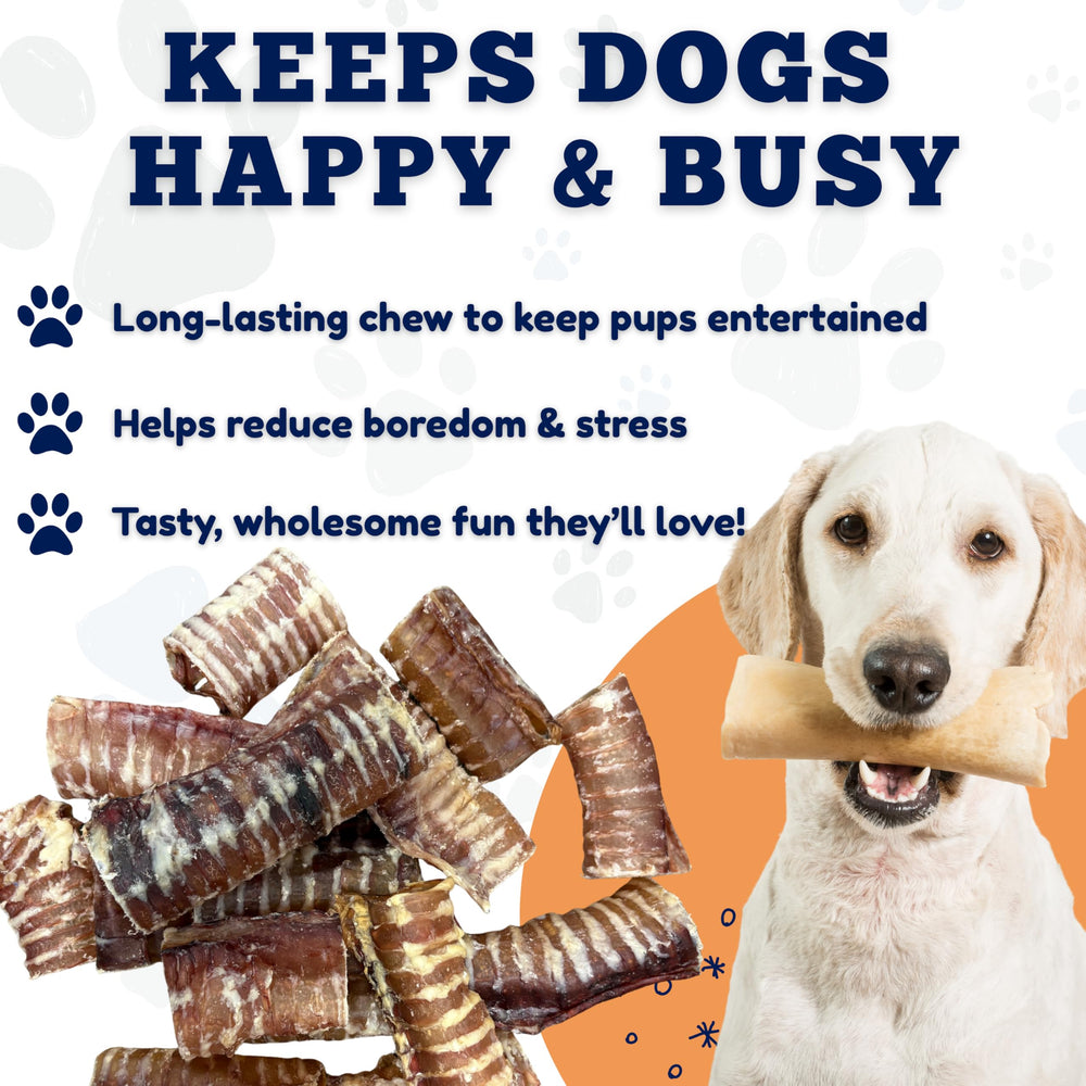 Label and ingredients highlight from Amazing Dog Treats beef trachea 6-inch chews.
