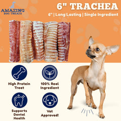 Amazing Dog Treats beef trachea 6-inch chews shown in package for easy stocking.