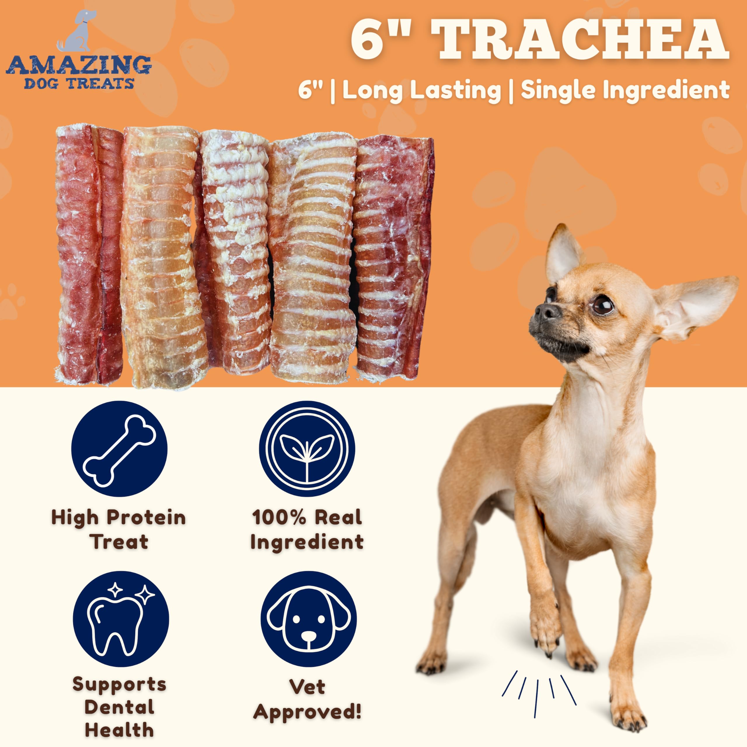Amazing Dog Treats beef trachea 6inch closeup texture highlights chew-friendly surface.