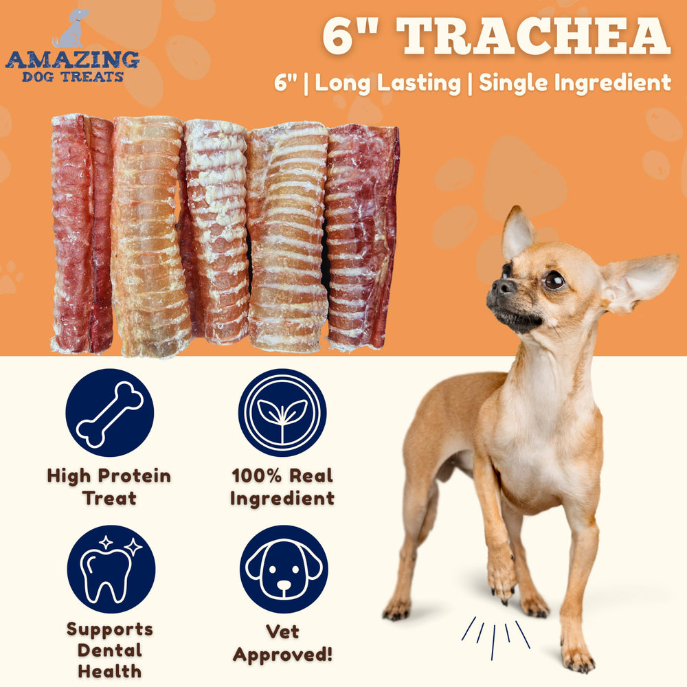 Amazing Dog Treats beef trachea 6inch closeup texture highlights chew-friendly surface.