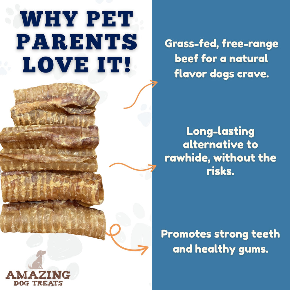Amazing Dog Treats beef trachea 6inch dog-reward image emphasizes tasty, single-ingredient chew.