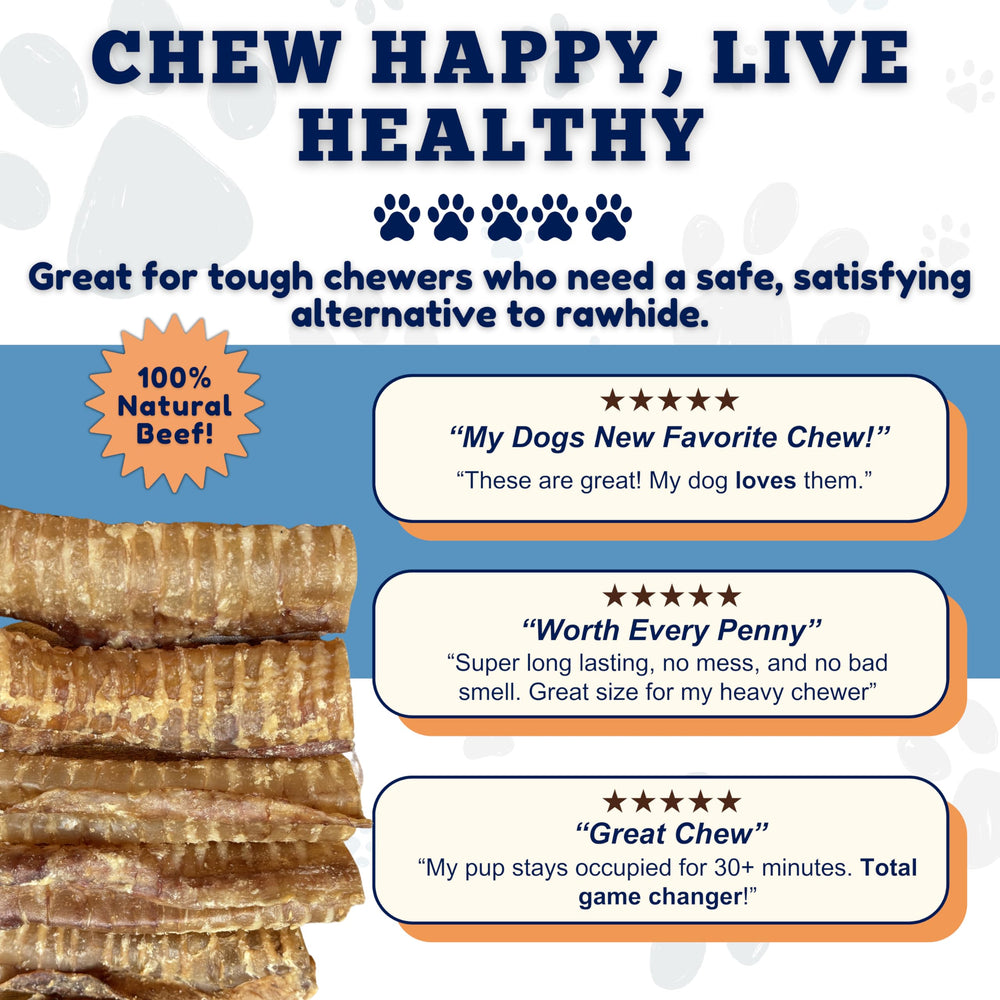 Amazing Dog Treats beef trachea 6inch packaging shot conveys convenient 20-count supply.