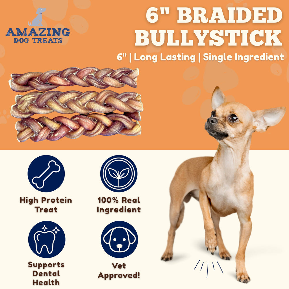 Amazing Dog Treats braided bully sticks close-up on teeth benefits during chewing.