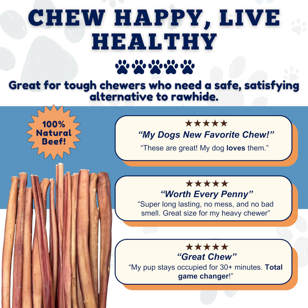 Amazing Dog Treats bulk pack supports regular rewards during training and play.