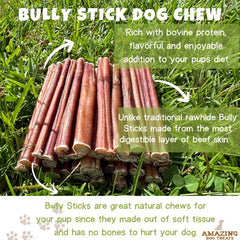 Amazing Dog Treats dog chewing action showing engaging, long-lasting snack.