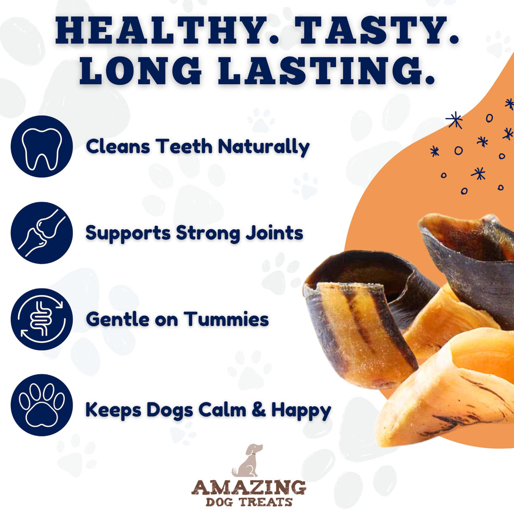 Amazing Dog Treats dog enjoying chew demonstrates tasty dental-friendly activity.