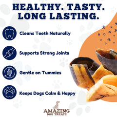Amazing Dog Treats dog enjoying chew demonstrates tasty dental-friendly activity.