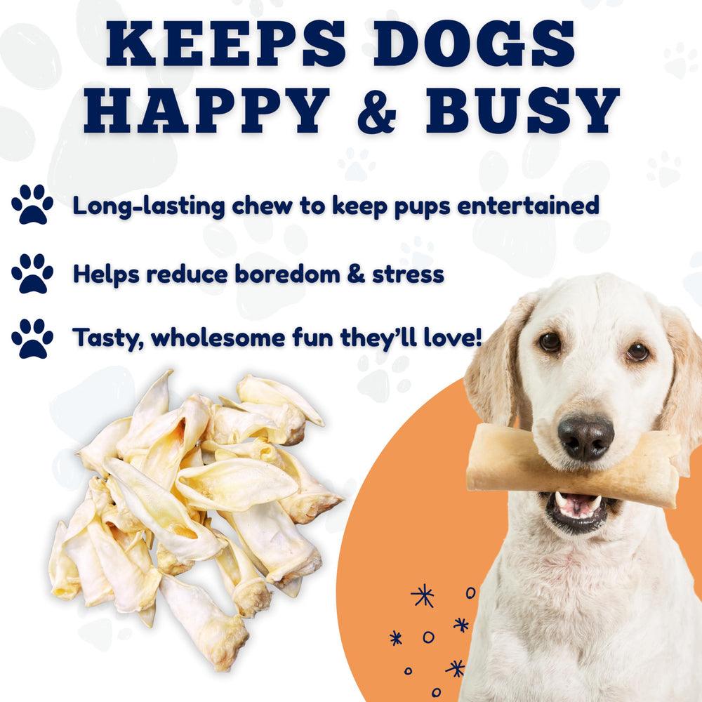 Amazing Dog Treats No Hide Bones concept emphasizes single-ingredient chew.