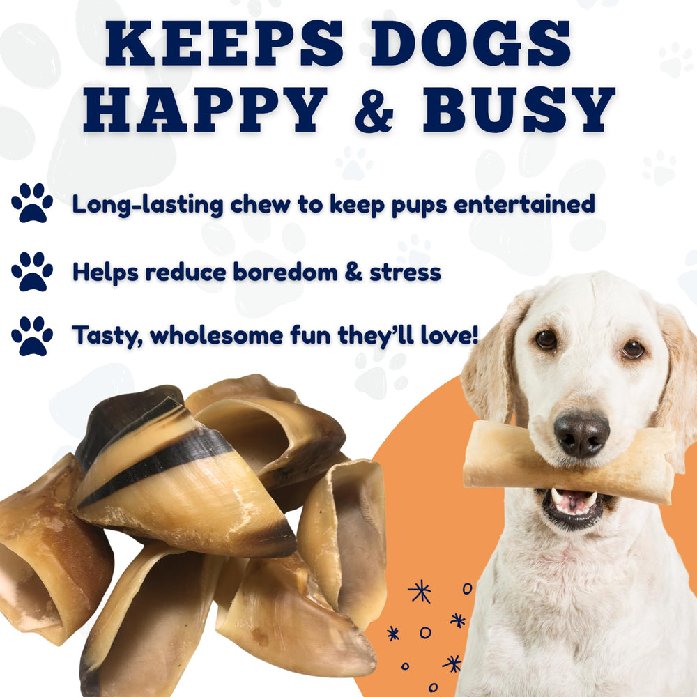 Amazing Dog Treats packaging designed for easy, eco-conscious storage.