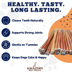 Amazing Dog Treats single-ingredient bully stick is easy to digest