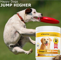 Amazing Nutritionals Amazing Omega 3 shiny coat chews support a healthier, brighter coat.