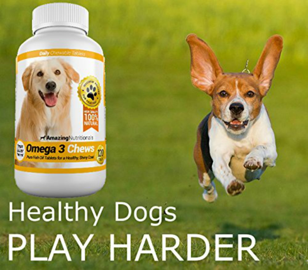 Made in USA third-party verified omega-3 dog chews from Amazing Nutritionals.