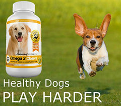 Made in USA third-party verified omega-3 dog chews from Amazing Nutritionals.