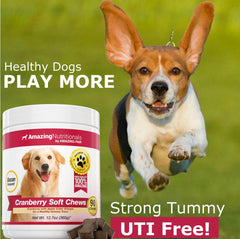 Amazing Nutritionals Cranberry for Dogs ACV ingredient visual emphasizes urinary balance support