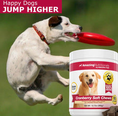 Amazing Nutritionals Cranberry for Dogs bacon-flavor chews displayed for easy dosing