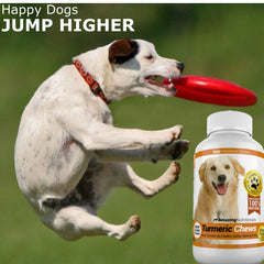 Amazing Nutritionals curcumin dog supplement bottle with simple dosing for pets.