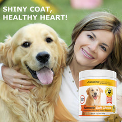 Amazing Nutritionals curcumin dog supplement for skin and coat health