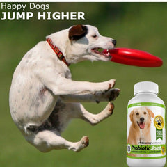 Amazing Nutritionals joint-support ingredients visible, potential helper for mobility alongside digestion.