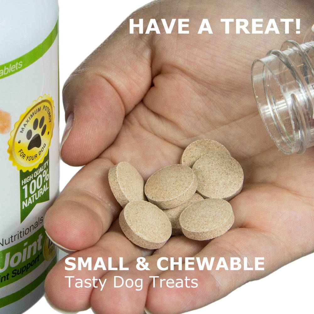 Amazing Nutritionals dog-probiotics label detail, third-party tested purity.