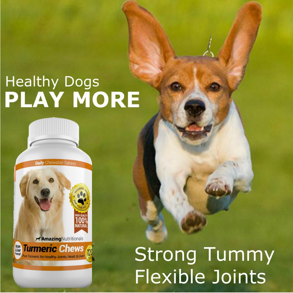 Amazing Nutritionals hypoallergenic ingredients option for allergy-prone dogs.