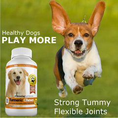 Amazing Nutritionals hypoallergenic ingredients option for allergy-prone dogs.