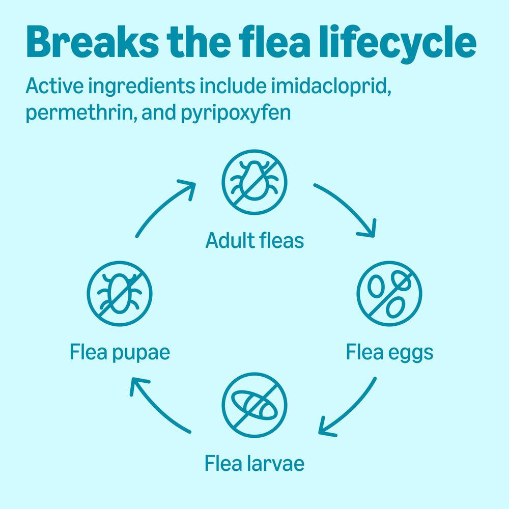 Amazon Basics label highlights active ingredients for broad flea and tick control.