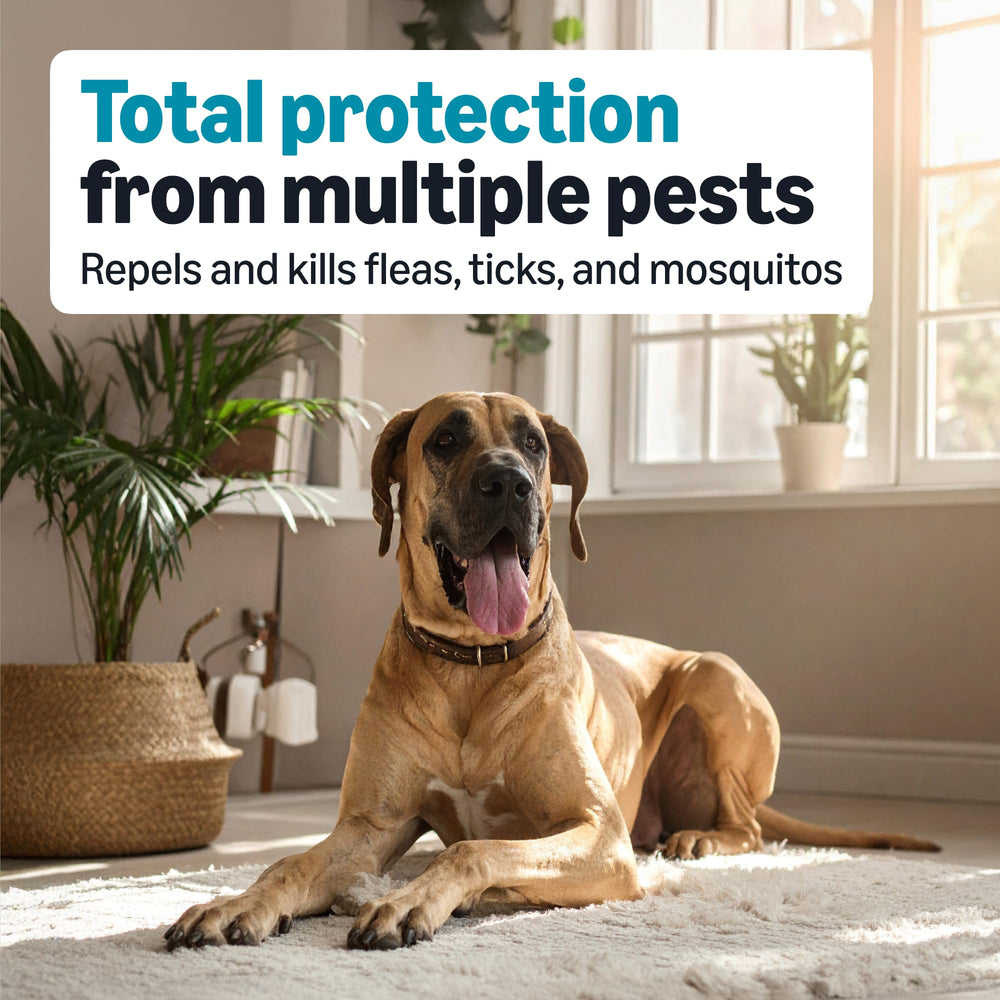Amazon Basics active ingredients imidacloprid permethrin pyriproxyfen listed for protection