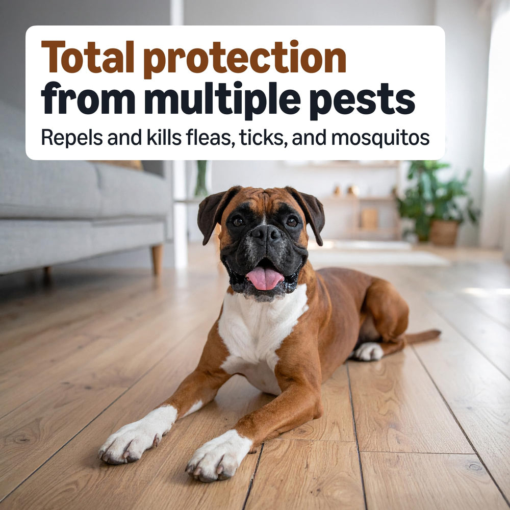Amazon Basics bottle shows active ingredients for flea and tick control.