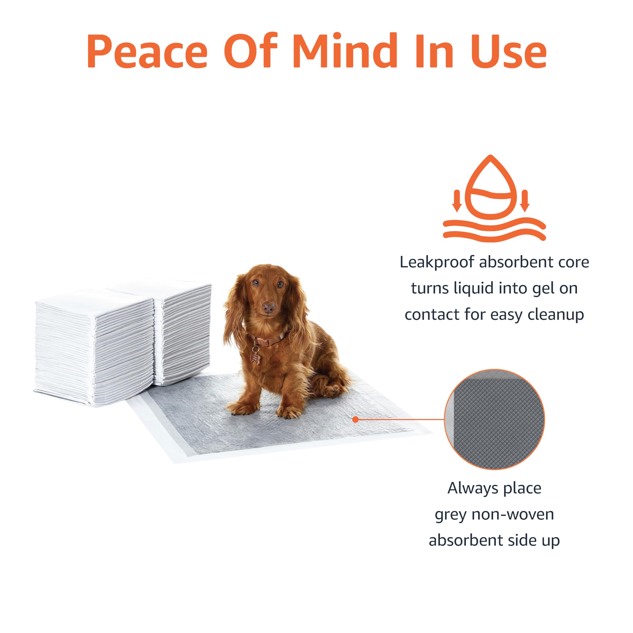 Amazon Basics built-in attractant aids potty training sessions