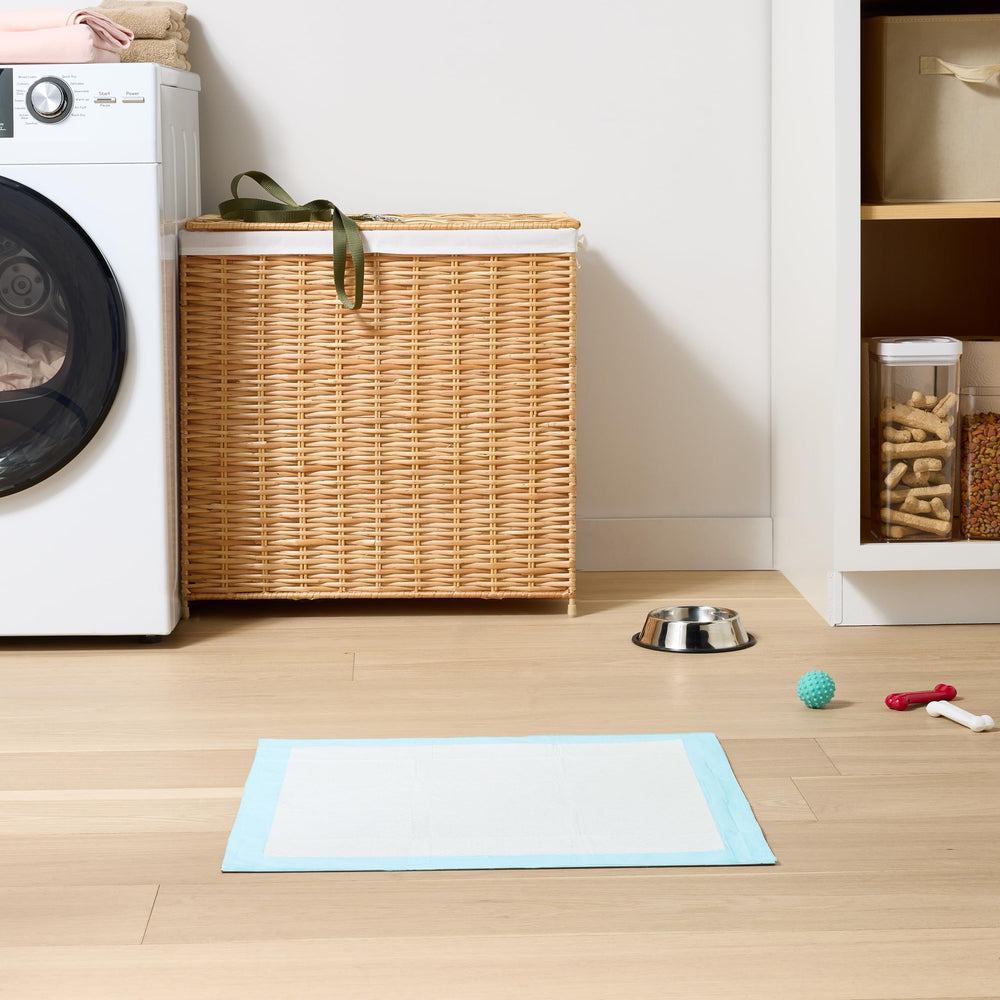 Amazon Basics built-in attractant aids potty training by guiding pets to the pad