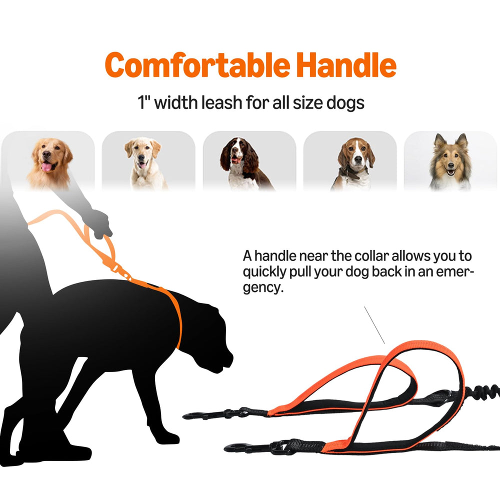 Amazon Basics bungee leash absorbs shocks for smoother starts