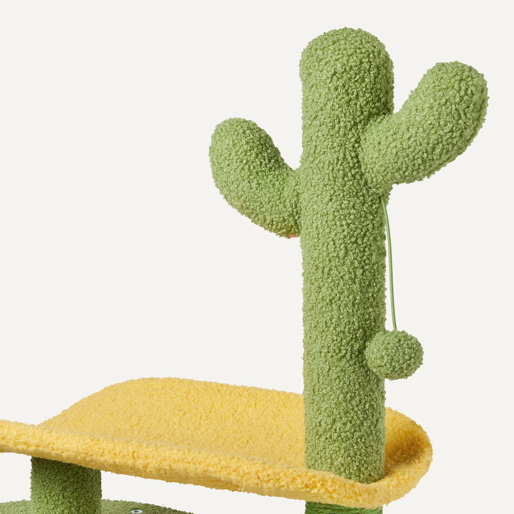 Amazon Basics cactus cat tree curved perch provides a comfy high perch.