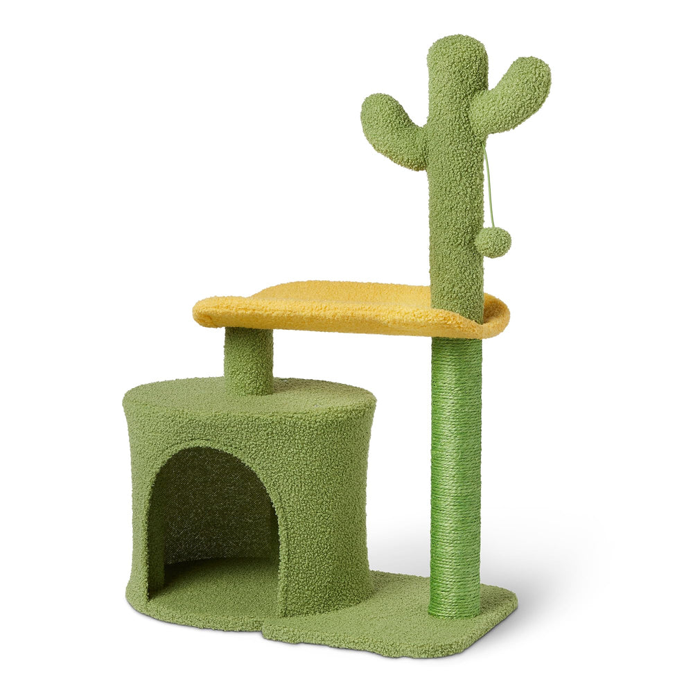Amazon Basics cactus cat tree with sisal post for scratching and climbing.