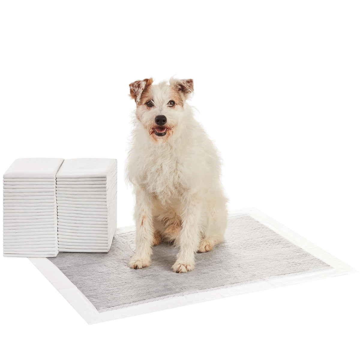 Amazon Basics carbon-odor-control dog pad for odor reduction in households.