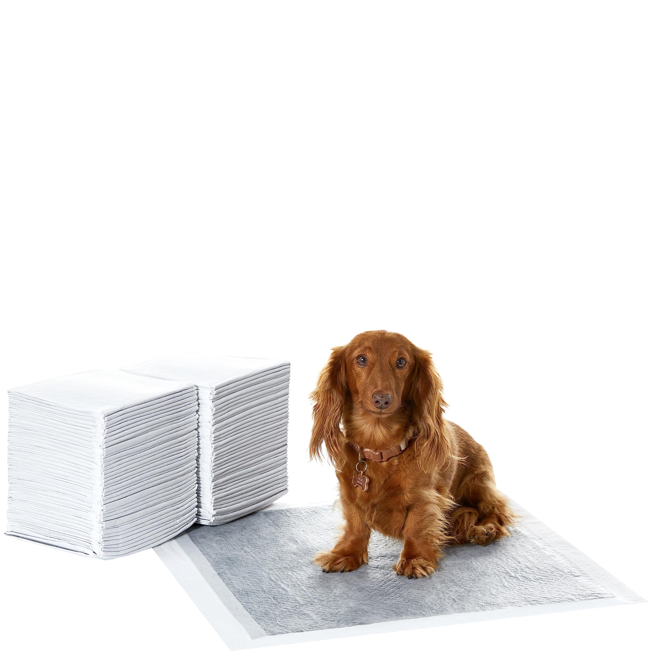 Amazon Basics carbon odor-control puppy pad ideal for potty training at home