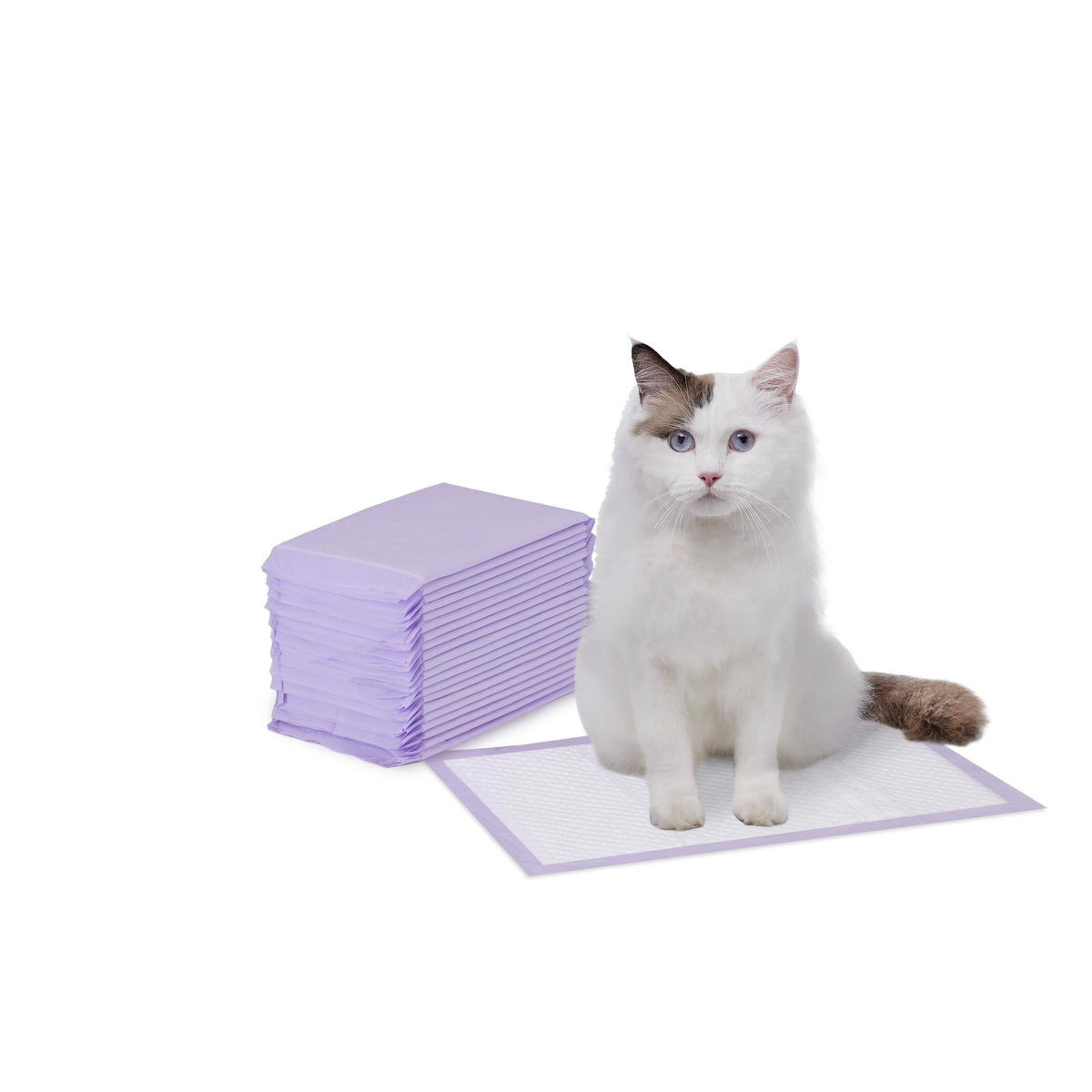 Amazon Basics cat litter pad with fresh scent for odor control