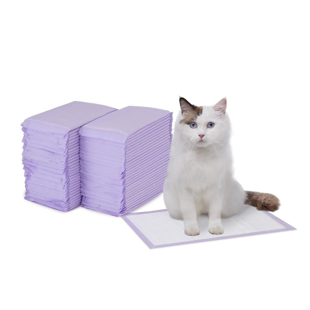 Amazon Basics cat pad with lemon scent for long-lasting odor control