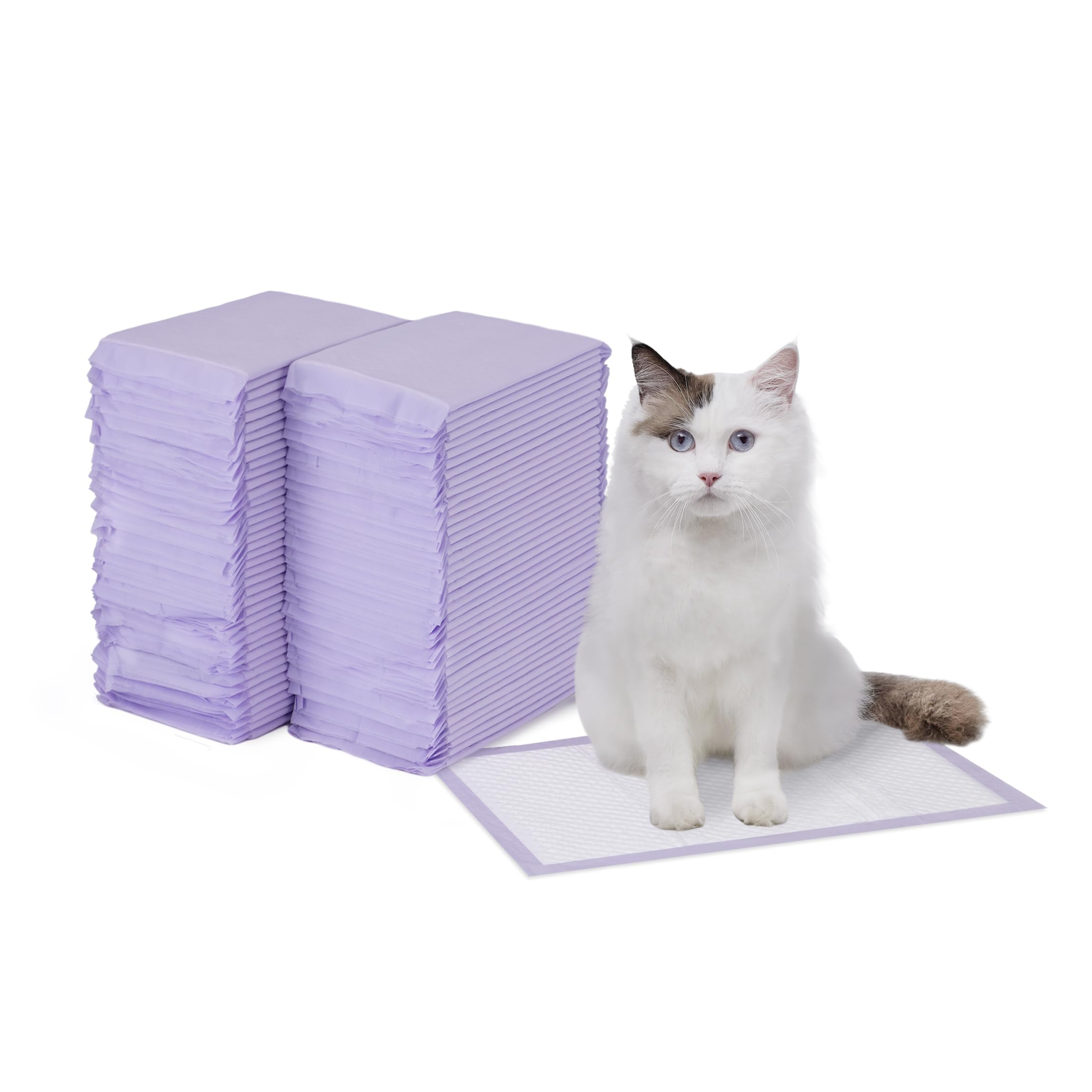 Amazon Basics cat pad for litter box demonstrates moisture lock for cleaner, easier changes.