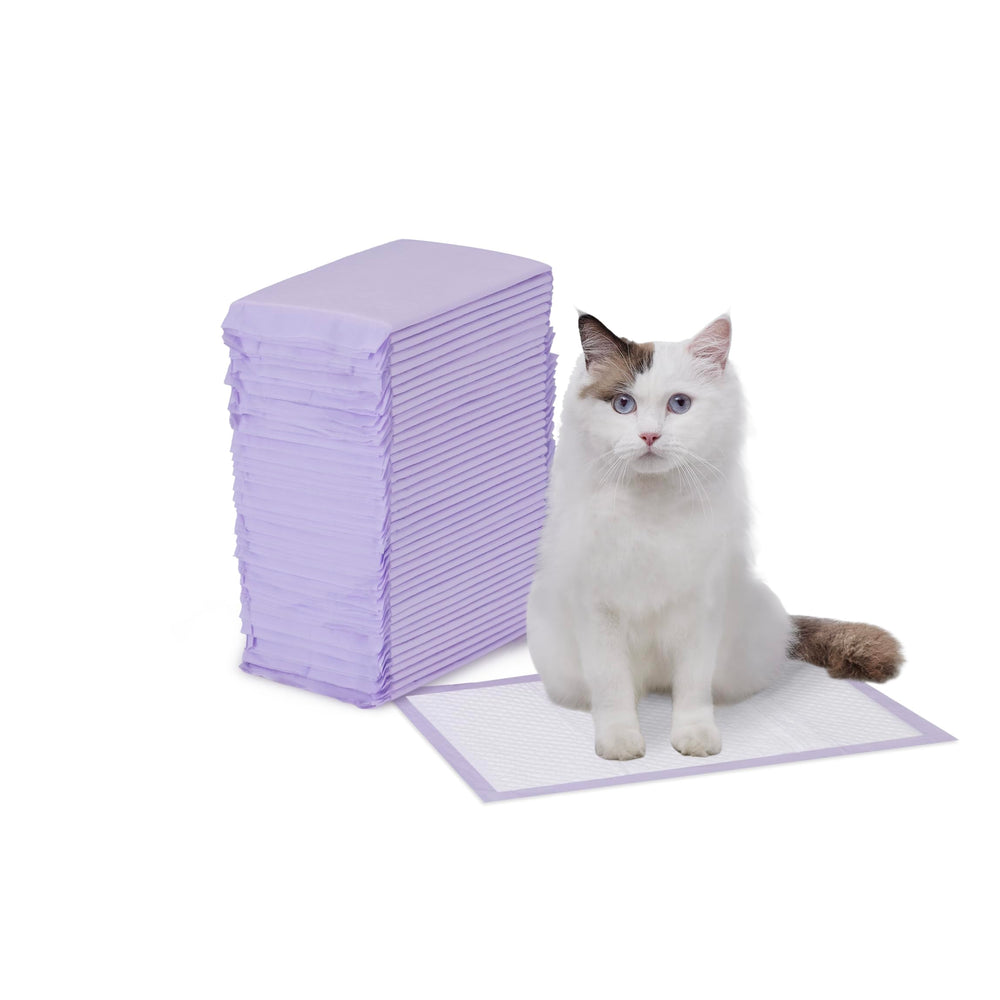 Amazon Basics cat pee pad with super-absorbent core for moisture control.