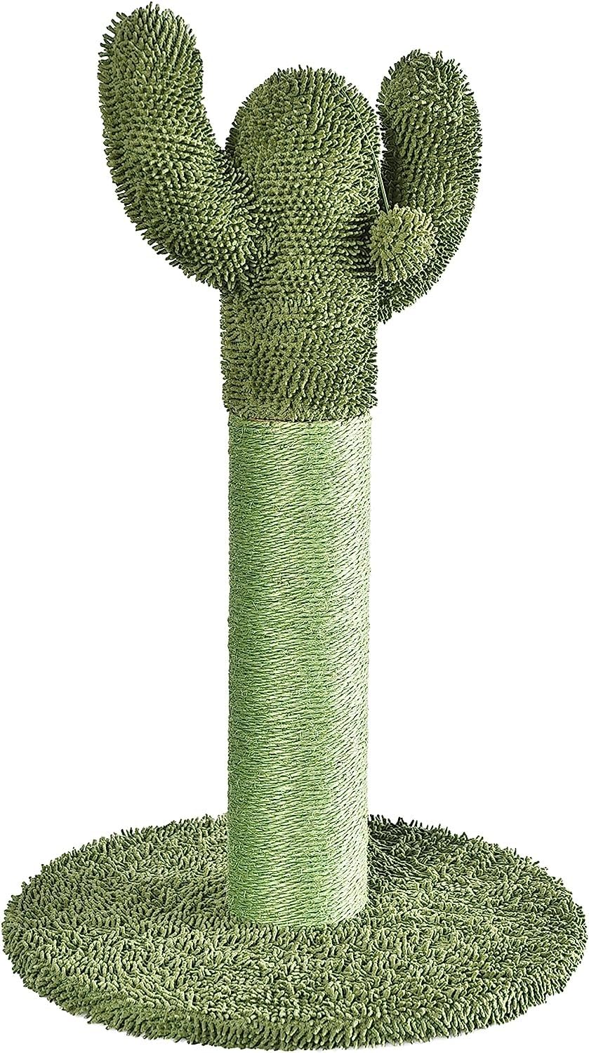 Amazon Basics cat scratching post cactus sisal offers a natural scratching surface for kittens.