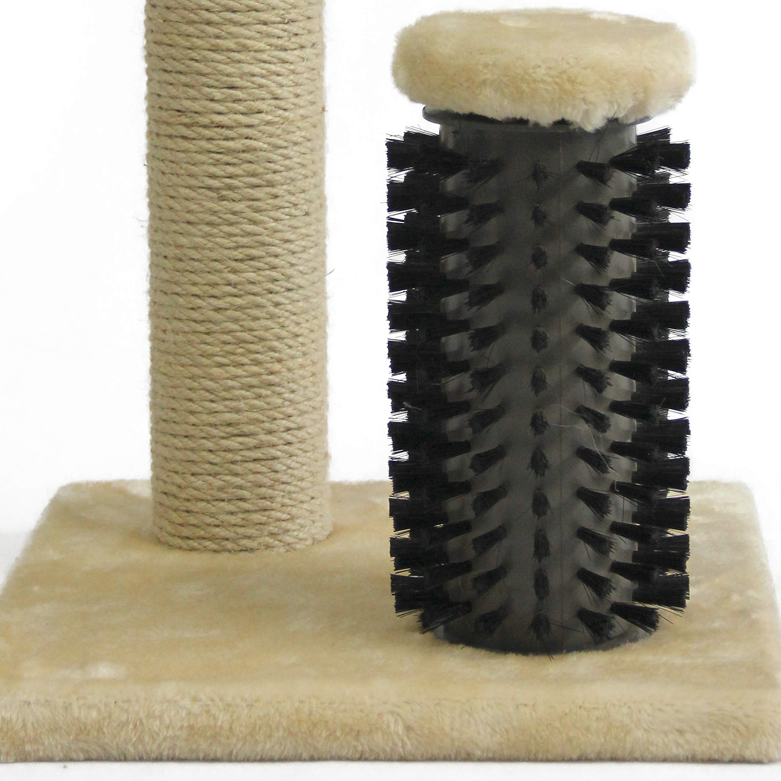 Amazon Basics compact beige post fits small spaces and encourages scratching and stretching