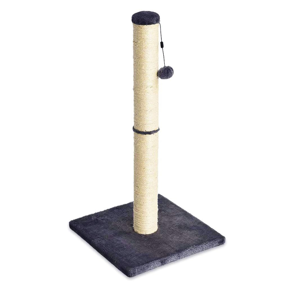 Amazon Basics cat scratching post with dangling ball toy for indoor play and nail upkeep