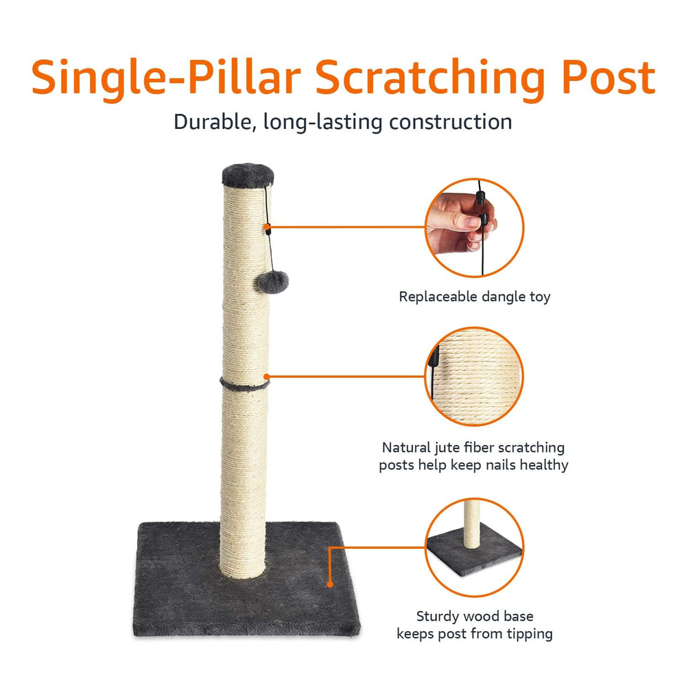 Sturdy base of Amazon Basics scratching post prevents tipping during play
