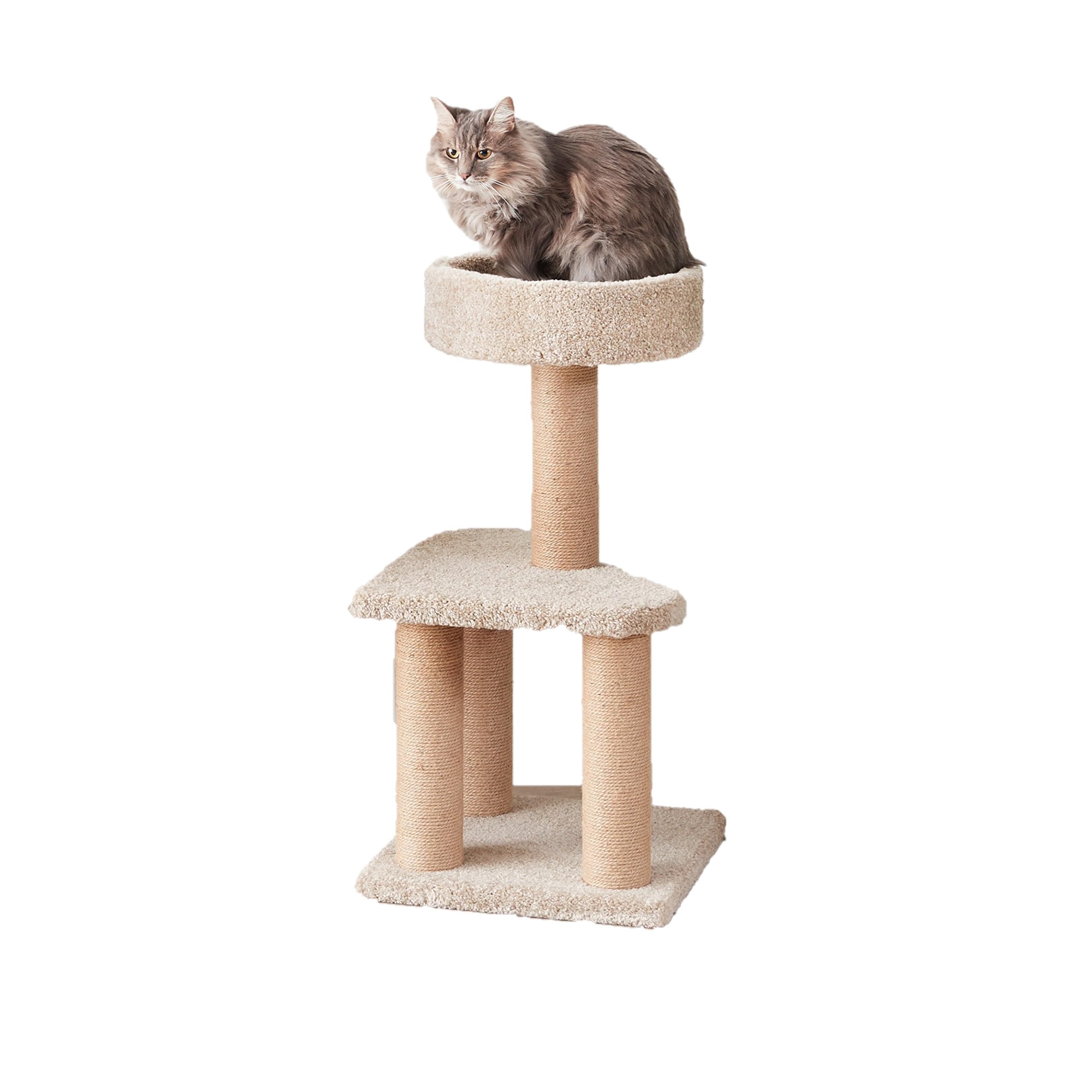 Amazon Basics cat tree multi-level climbing tower for indoor play and perching.