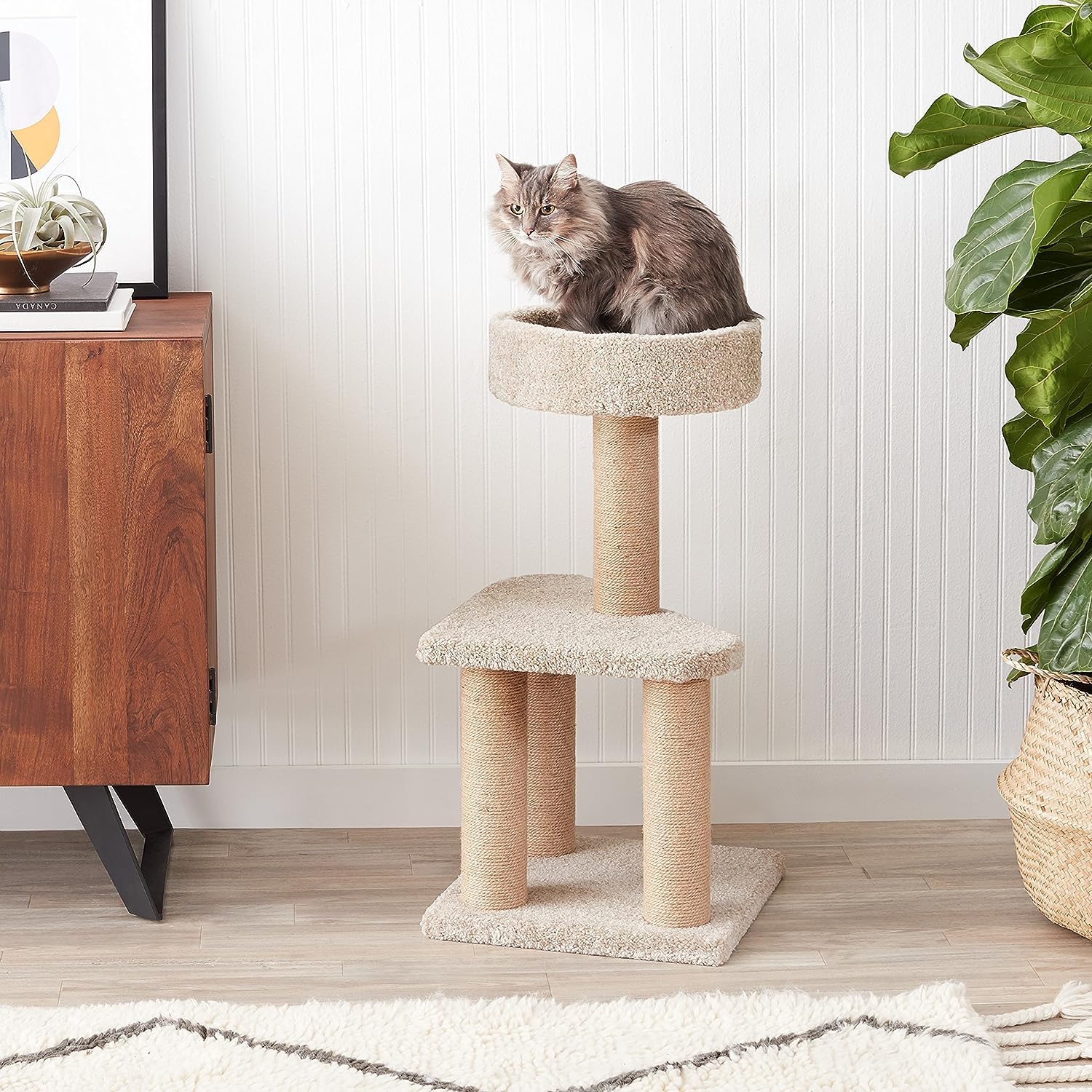 Amazon Basics cat tree round top platform with raised edges for cozy naps.
